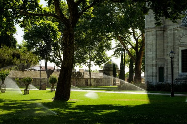 What's the Best Smart Sprinkler Controller in 2026? Rachio, Rain Bird, Orbit, and Budget Picks Compared